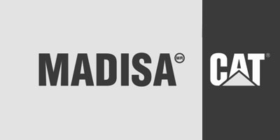 madisa-cat